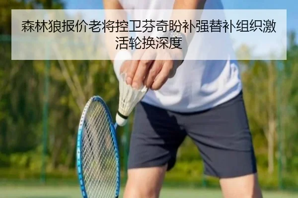 森林狼报价老将控卫芬奇盼补强替补组织激活轮换深度